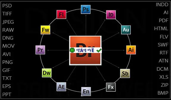 Adobe bridge cc 2019
