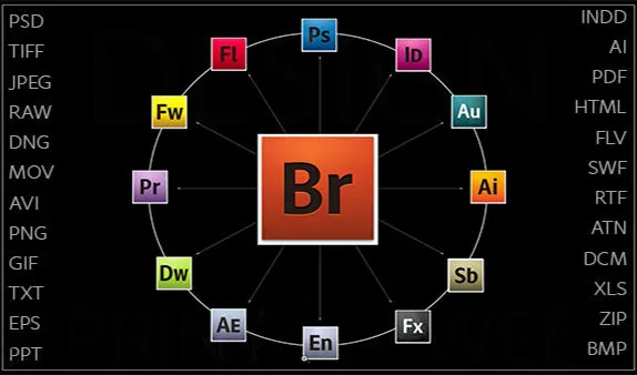 Adobe Bridge CC 2019
