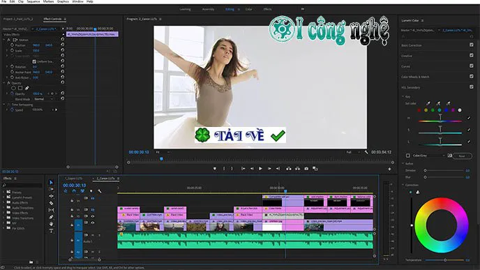 Adobe Premiere Pro-3