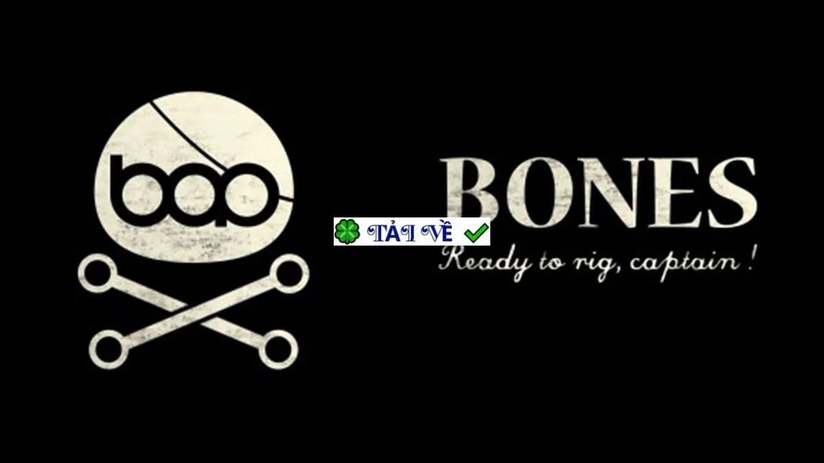 Aescripts bao bones