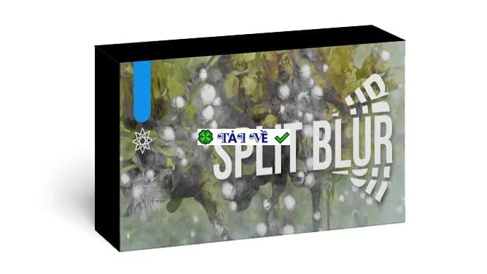 Aescripts split blur