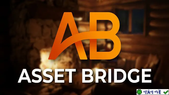 Asset bridge