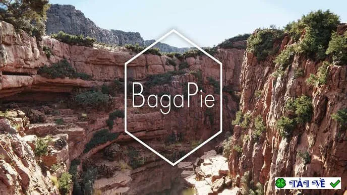 Bagapie