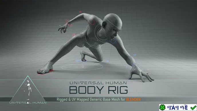 Body rig