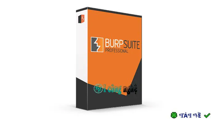 Burp suite professional
