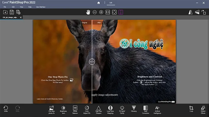 Corel PaintShop Pro 2022-2