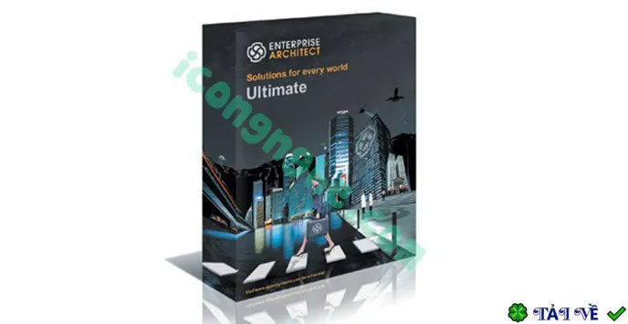Enterprise architect