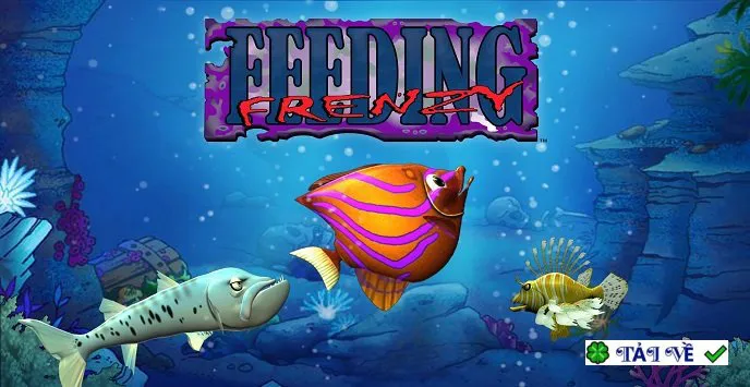 Feeding frenzy