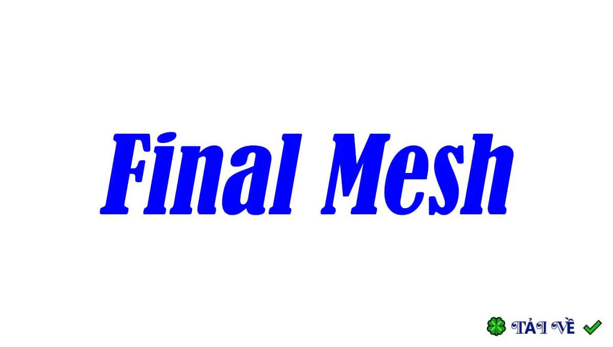 Finalmesh