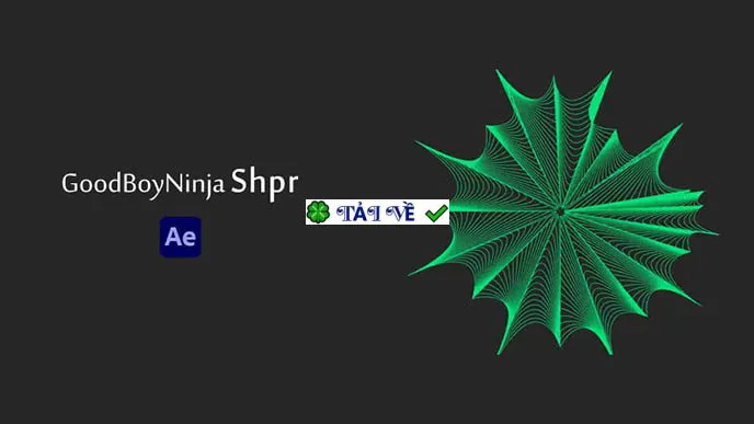 Goodboyninja shpr