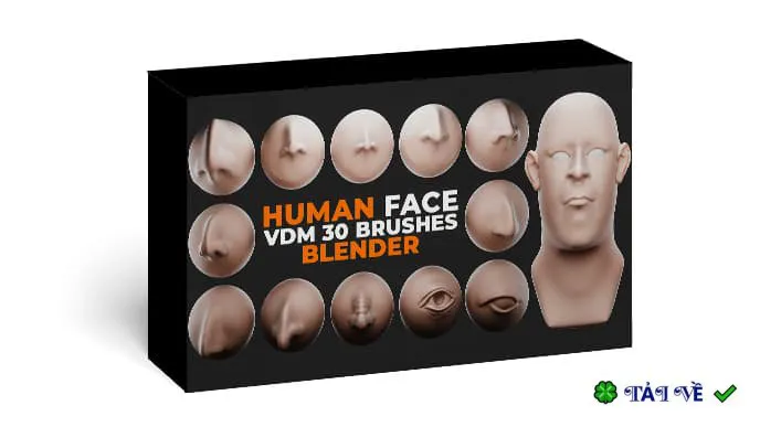 Human Face Vdm Brushes