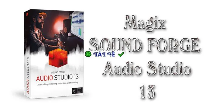 Magix sound forge audio studio