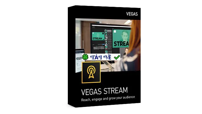 Magix vegas stream
