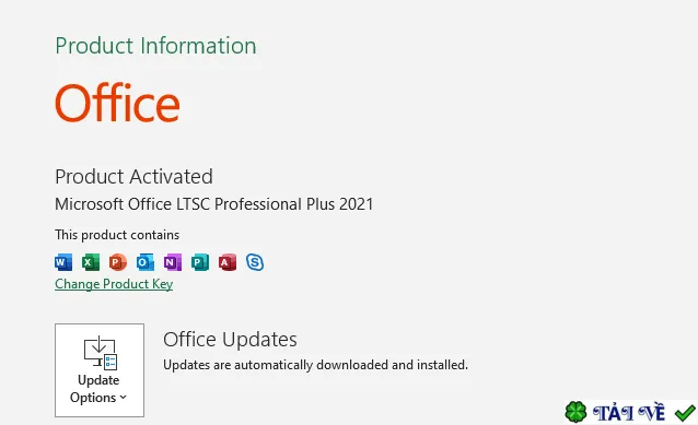 Microsoft Office 2021-2