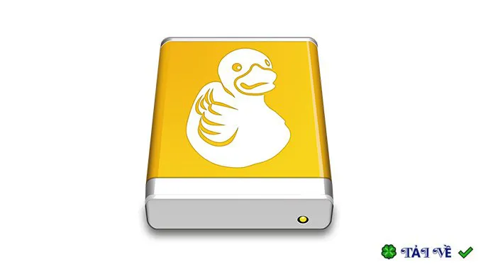 Mountain duck