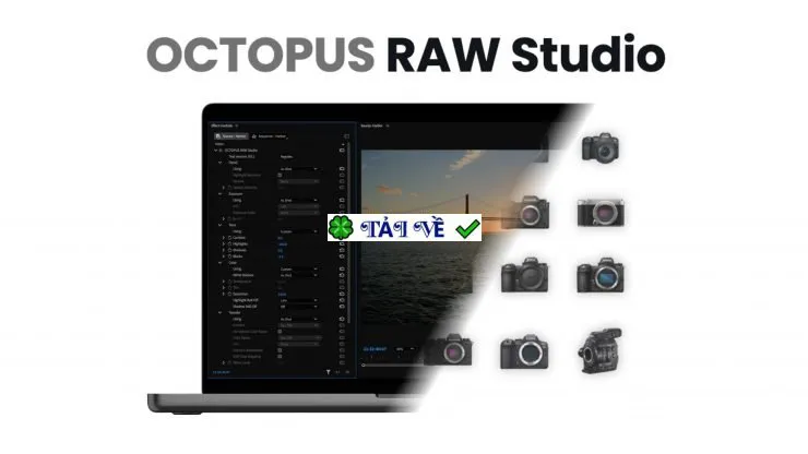 Octopus raw studio
