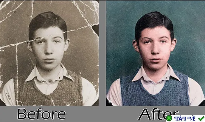 Picture Colorizer 2