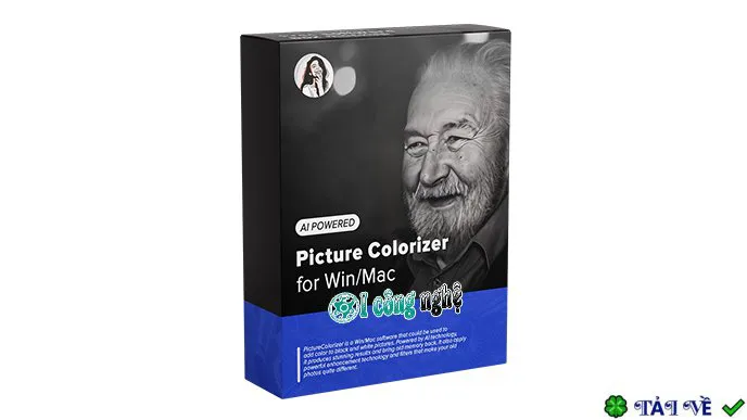 Picture colorizer