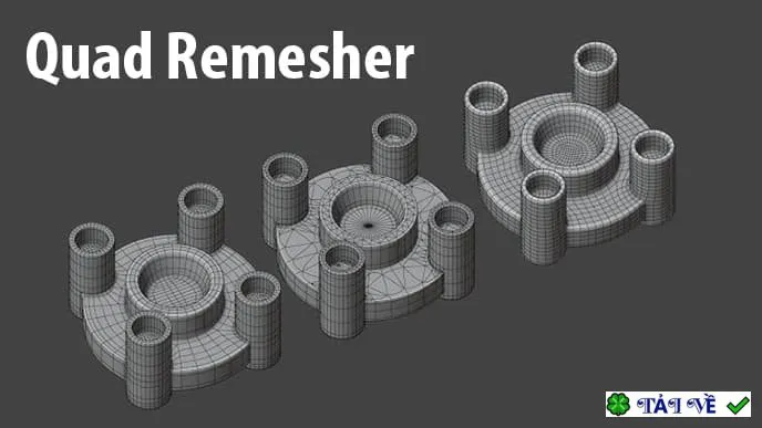 Quad remesher