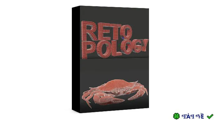 Retopology tools