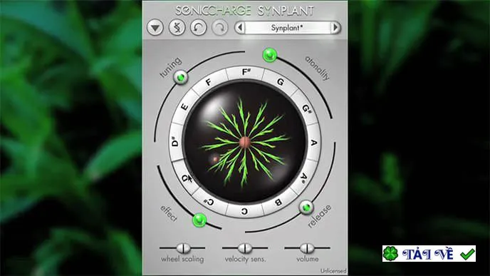 Sonic charge synplant
