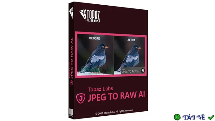 Topaz jpeg to raw ai