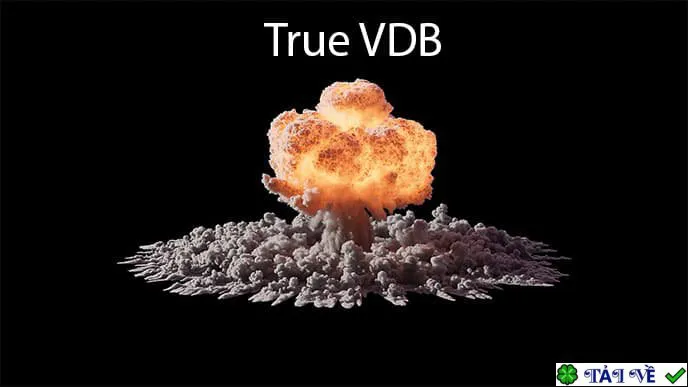 True vdb