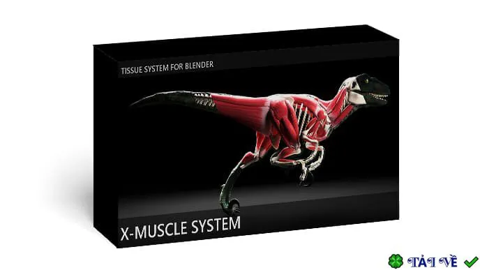 X muscle system