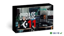 Cubase 14 Pro – Phần mềm sáng tạo âm nhạc hàng đầu