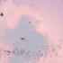 All Material List v2.7.7 for Blender: Quản lý vật liệu hiệu quả