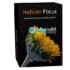 Download Prima Effects: Tạo hiệu ứng chuyên nghiệp