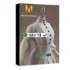 MAGIX SOUND FORGE Audio Studio 15 – Chỉnh sửa âm thanh chuyên nghiệp